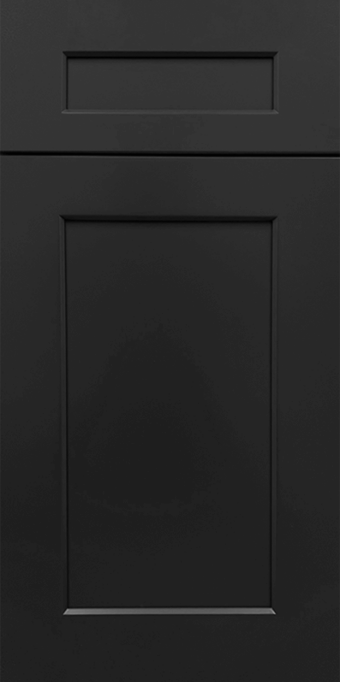 Shaker Black Sample Door